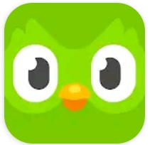 Duolingoのレベルとは？約２年使ってわかったこと！